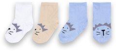 Дитячі шкарпетки для хлопчика бавовна Левеня 3 пари