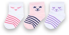 Дитячі шкарпетки для дівчинки бавовна Котики 3 пари