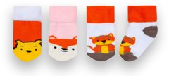 Дитячі шкарпетки для дівчинки махрові Лисичка 3 пари